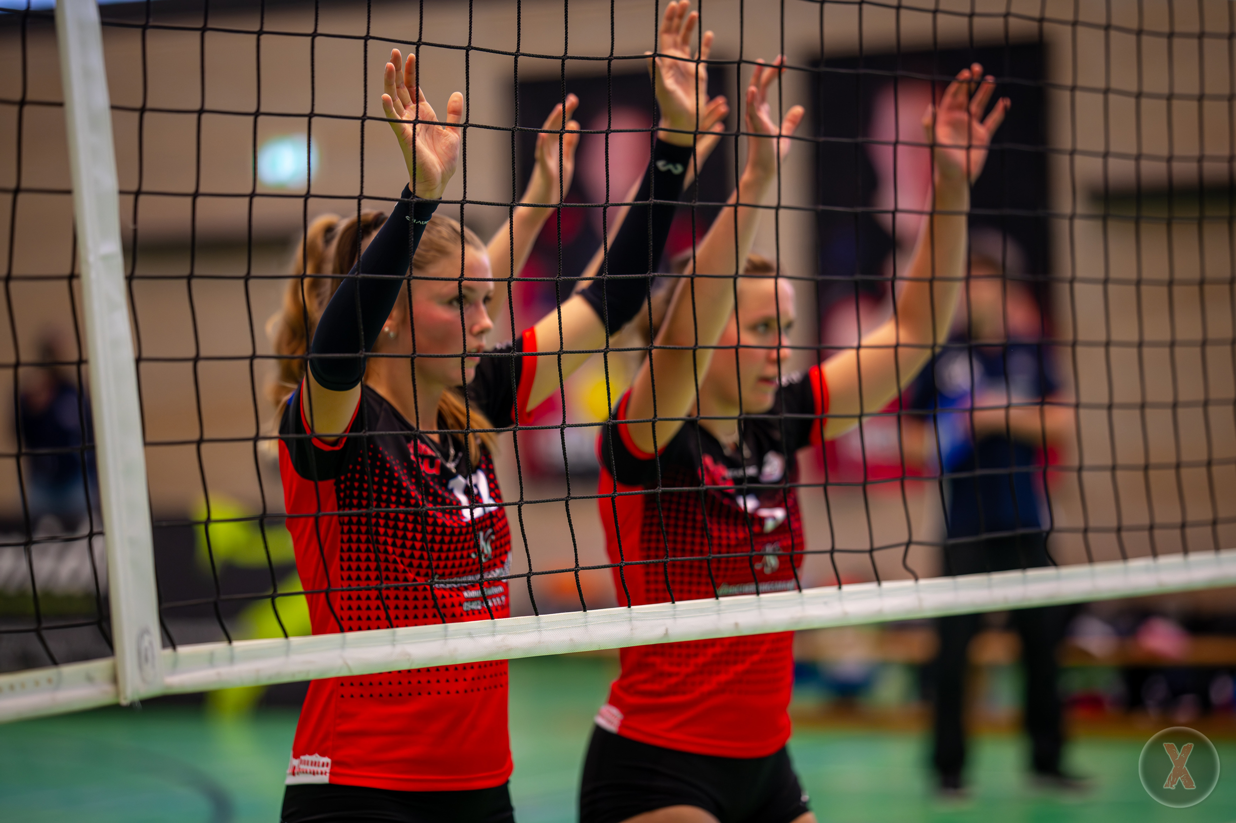 Volleyball | 1:3 - Erste Saisonniederlage für VCO-Damen beim SC Spelle-Venhaus