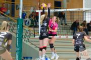volleyball-tv-cloppenburg-sv-bad-laer-39