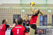 volleyball-vc-osnabrck-tv-cloppenburg-25
