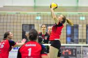 volleyball-vc-osnabrck-tv-cloppenburg-25