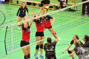 volleyball-vc-osnabrck-tv-cloppenburg-33