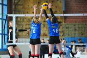 volleyball-sv-bad-laer-bsv-ostbevern-31