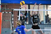 volleyball-sv-bad-laer-bsv-ostbevern-40