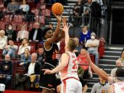 artland-dragons-vs-panthers-schwenningen-21