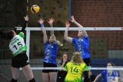 volleyball-sv-bad-laer-usc-mnster-31