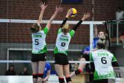 volleyball-sv-bad-laer-usc-mnster-32