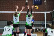 volleyball-sv-bad-laer-usc-mnster-39