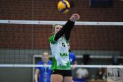 volleyball-sv-bad-laer-usc-mnster-46