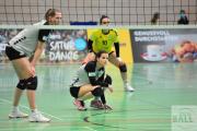 volleyball-vc-osnabrck-tv-eiche-23