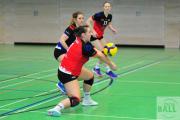 volleyball-vc-osnabrck-tv-eiche-3