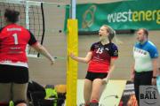 volleyball-vc-osnabrck-tv-eiche-30