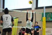volleyball-vc-osnabrck-tv-eiche-33