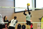 volleyball-vc-osnabrck-tv-eiche-37