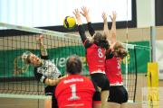 volleyball-vc-osnabrck-tv-eiche-71