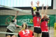volleyball-vc-osnabrck-tv-eiche-72