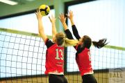 volleyball-vc-osnabrck-tv-eiche-73