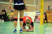 volleyball-vc-osnabrck-tv-eiche-74