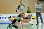volleyball-vc-osnabrck-tv-eiche-82