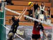 tv-cloppenburg-vs-vc-osnabrueck-24