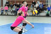 volleyball-sv-bad-laer-bsv-ostbevern-14