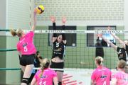 volleyball-sv-bad-laer-bsv-ostbevern-15