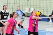 volleyball-sv-bad-laer-bsv-ostbevern-21