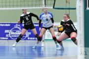 volleyball-sv-bad-laer-bsv-ostbevern-37
