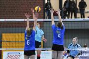 volleyball-sv-bad-laer-hildesheim-14