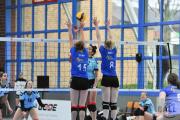 volleyball-sv-bad-laer-hildesheim-24