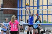 volleyball-sv-bad-laer-hildesheim-25