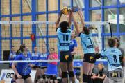 volleyball-sv-bad-laer-hildesheim-28