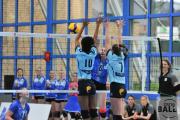 volleyball-sv-bad-laer-hildesheim-29