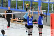 volleyball-sv-bad-laer-hildesheim-46