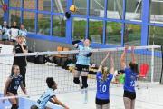 volleyball-sv-bad-laer-hildesheim-48