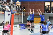 volleyball-sv-bad-laer-hildesheim-51