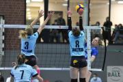 volleyball-sv-bad-laer-hildesheim-57