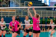 volleyball-usc-mnster-sv-bad-laer-16