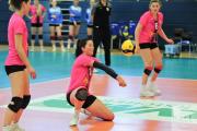 volleyball-usc-mnster-sv-bad-laer-46