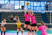 volleyball-usc-mnster-sv-bad-laer-6
