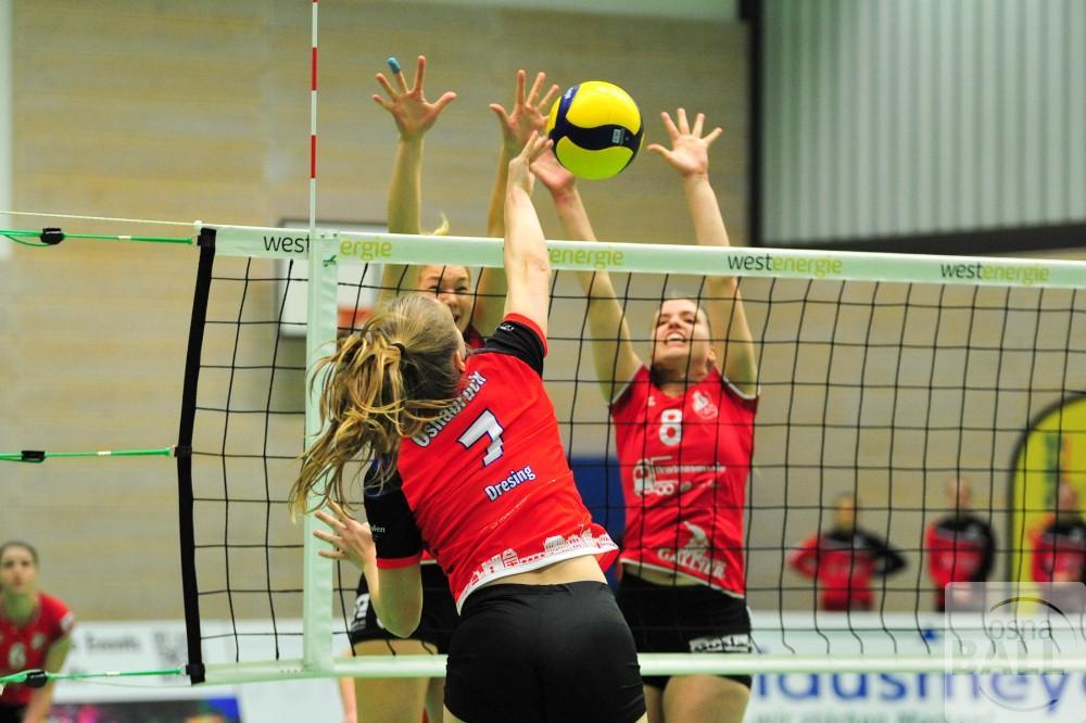 volleyball-vc-osnabrck-sf-aligse-30