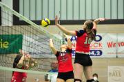 volleyball-vc-osnabrck-sf-aligse-16