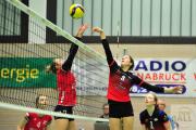 volleyball-vc-osnabrck-sf-aligse-24