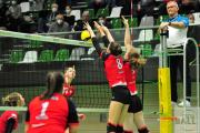 volleyball-vc-osnabrck-sf-aligse-44