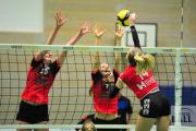 volleyball-vc-osnabrck-sf-aligse-50