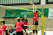 volleyball-vc-osnabrck-sf-aligse-52