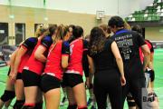 volleyball-vc-osnabrck-sf-aligse-6