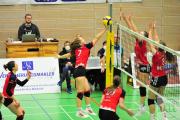 volleyball-vc-osnabrck-sf-aligse-68