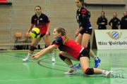 volleyball-vc-osnabrck-sf-aligse-8