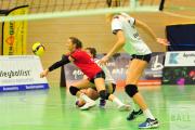 volleyball-vc-osnabrck-bayer-04-leverkusen-31