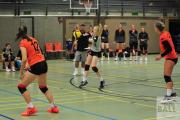 volleyball-vor-paderborn-sv-bad-laer-33